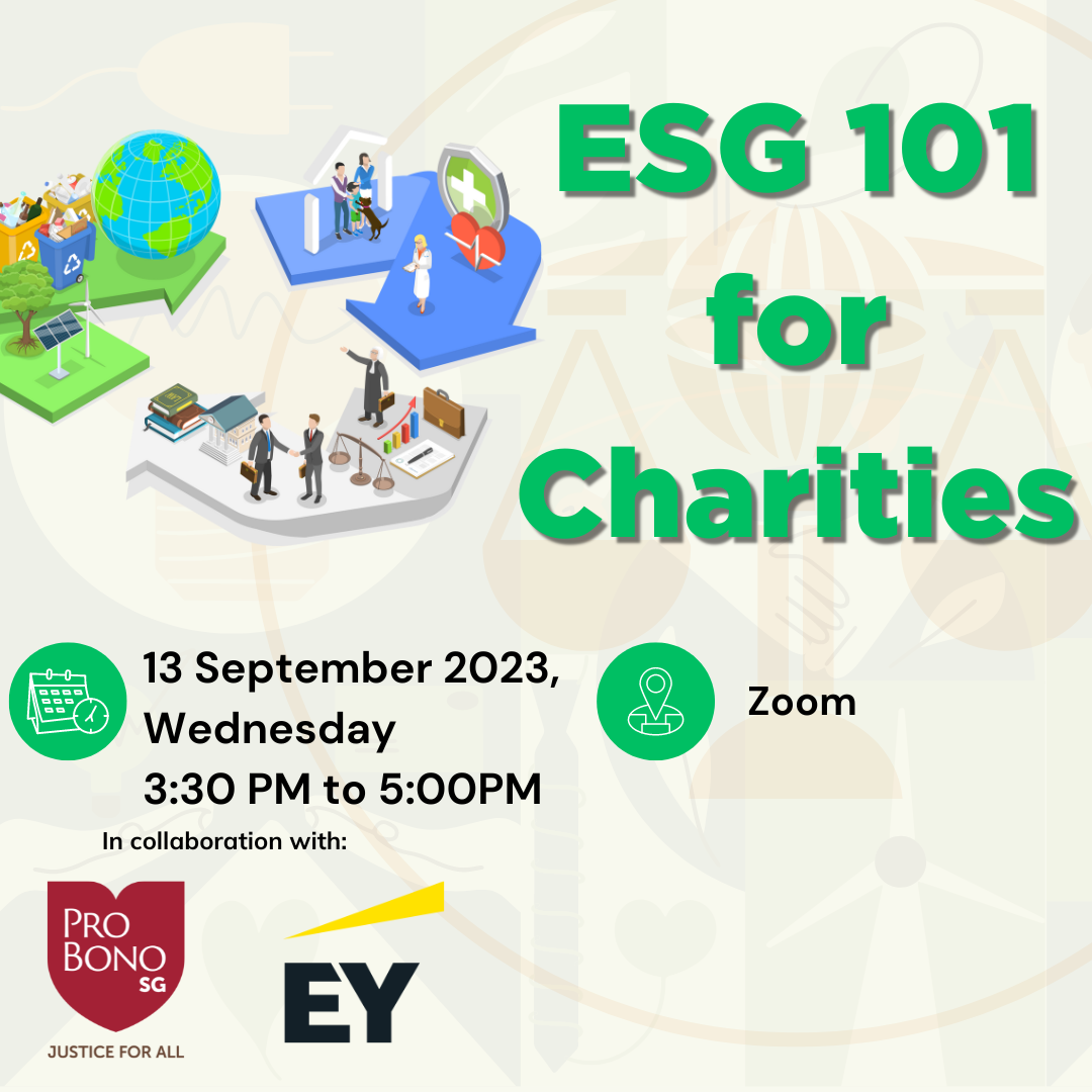Environmental, Social and Governance (ESG) 101 for Charities (Website)