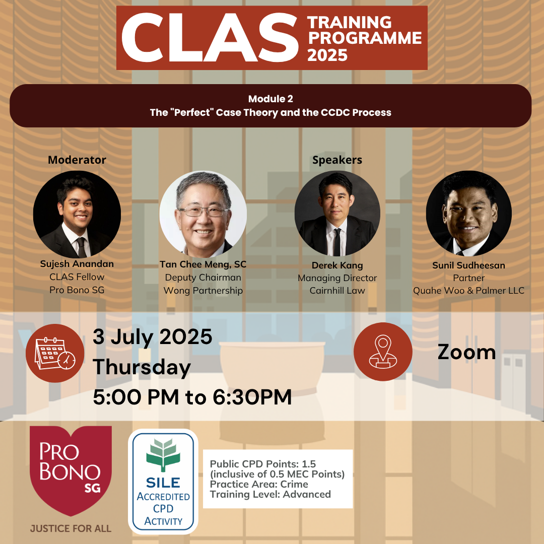CLAS training programme Module 2: the perfect case theory and the CCDC process