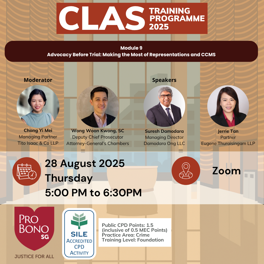 CLAS training programme 2025: Making the most of representations and CCMS